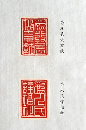 为发展做贡献 为人民谋福祉